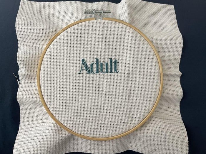 十字绣基础教程:零基础自制绣品-第11张图片-趣作屋 十字绣基础教程:零基础自制绣品-第11张图片-趣作屋