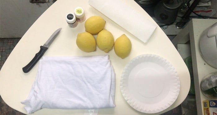 创意柠檬印花T恤教程：亲子DIY艺术项目-第2张图片-趣作屋