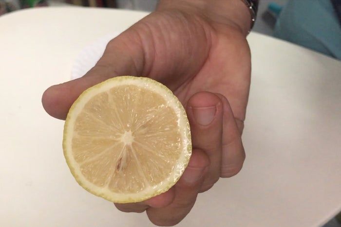 创意柠檬印花T恤教程：亲子DIY艺术项目-第4张图片-趣作屋