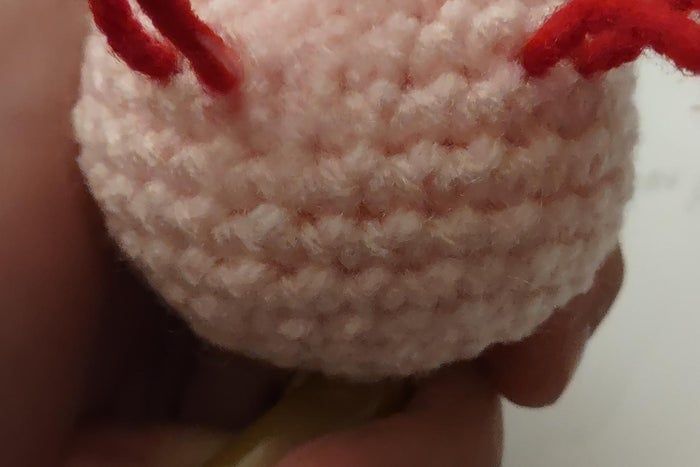 手工钩针教程:轻松制作墨西哥娃娃鱼玩偶-第4张图片-趣作屋 手工钩针教程:轻松制作墨西哥娃娃鱼玩偶-第4张图片-趣作屋