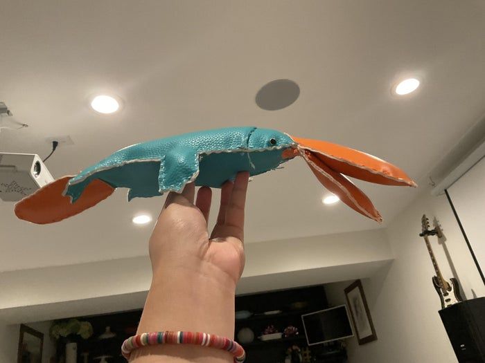 手工制作搞笑大嘴鸭嘴兽毛绒玩具教程-第22张图片-趣作屋