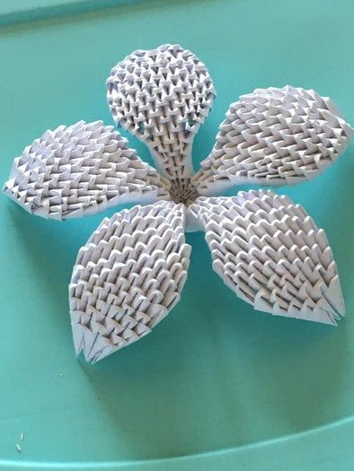 零基础也能学会!3D百合花折纸教程全解析-第2张图片-趣作屋 零基础也能学会!3D百合花折纸教程全解析-第2张图片-趣作屋