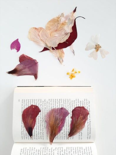 零基础也能做！手工干花明信片DIY教程-第3张图片-趣作屋