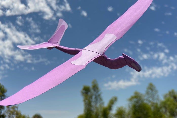 手工制作创意滑翔机教程，零基础也能轻松上手-第19张图片-趣作屋