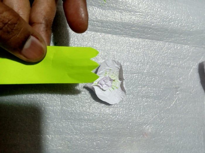 超详细手工纸花制作教程，零基础也能轻松上手！-第72张图片-趣作屋