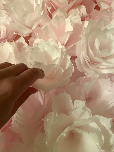 超低成本DIY咖啡滤纸花墙装饰教程，租房也能轻松上手-第24张图片-趣作屋