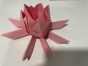 超简单折纸睡莲教程，零基础也能轻松学会-第12张图片-趣作屋