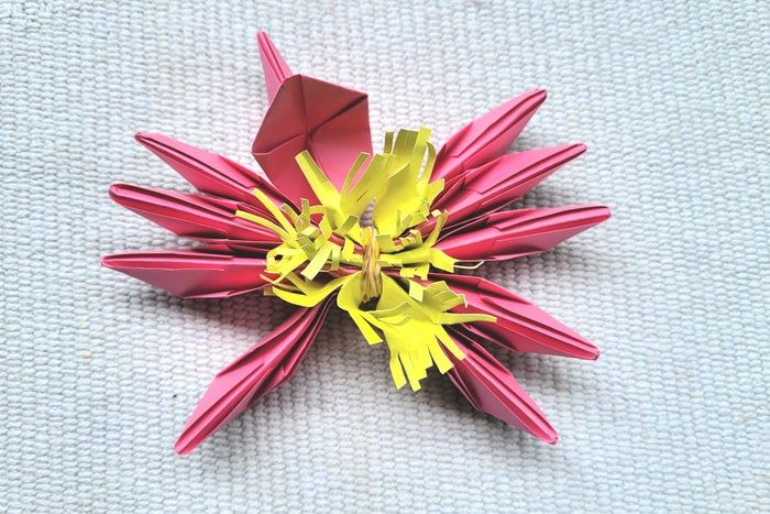 超简单折纸睡莲教程,零基础也能轻松学会-第25张图片-趣作屋 超简单折纸睡莲教程,零基础也能轻松学会-第25张图片-趣作屋