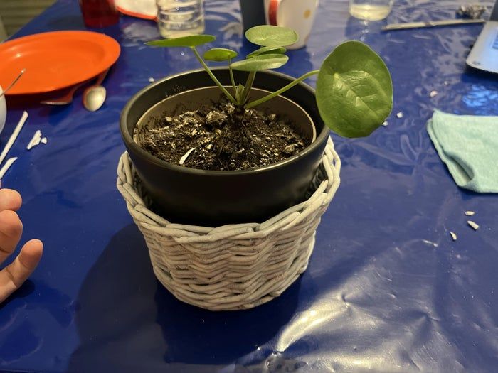 用旧报纸做手工编织篮子教程，简单易学环保又实用-第3张图片-趣作屋