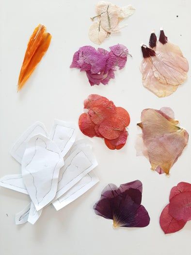 零基础也能做！手工干花明信片DIY教程-第7张图片-趣作屋