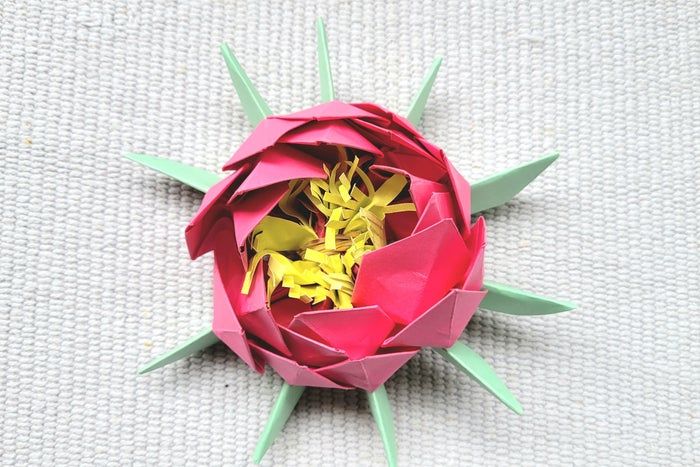 超简单折纸睡莲教程,零基础也能轻松学会-第27张图片-趣作屋 超简单折纸睡莲教程,零基础也能轻松学会-第27张图片-趣作屋