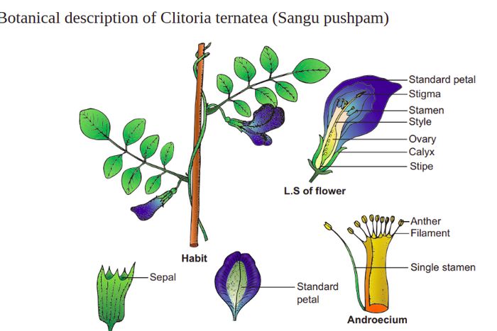 超详细手工纸花制作教程，零基础也能轻松上手！-第66张图片-趣作屋