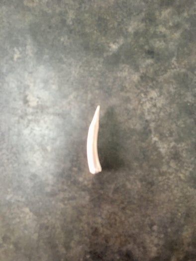 亲子手工DIY：低成本制作三角龙玩具全教程-第28张图片-趣作屋