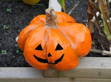 低成本手工制作万圣节南瓜灯教程-第2张图片-趣作屋 低成本手工制作万圣节南瓜灯教程-第2张图片-趣作屋