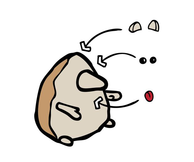 手工制作刺猬礼物包装教程,简单又有趣的DIY惊喜-第13张图片-趣作屋 手工制作刺猬礼物包装教程,简单又有趣的DIY惊喜-第13张图片-趣作屋