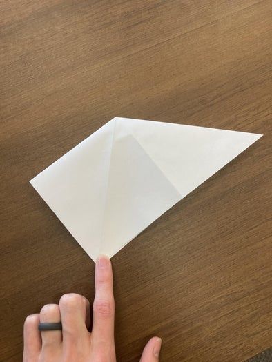 超简单仙鹤折纸教程，零基础也能轻松学会-第6张图片-趣作屋