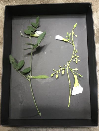 超详细手工纸花制作教程，零基础也能轻松上手！-第3张图片-趣作屋