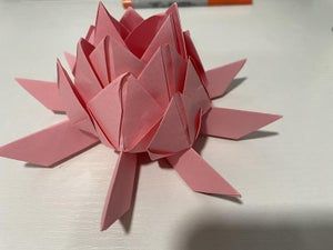 超简单折纸睡莲教程，零基础也能轻松学会-第14张图片-趣作屋