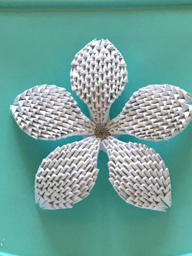 零基础也能学会!3D百合花折纸教程全解析-第1张图片-趣作屋 零基础也能学会!3D百合花折纸教程全解析-第1张图片-趣作屋