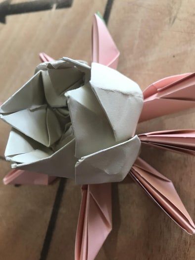 零基础也能轻松折出莲花折纸变体,附详细步骤与创意装饰-第20张图片-趣作屋 零基础也能轻松折出莲花折纸变体,附详细步骤与创意装饰-第20张图片-趣作屋