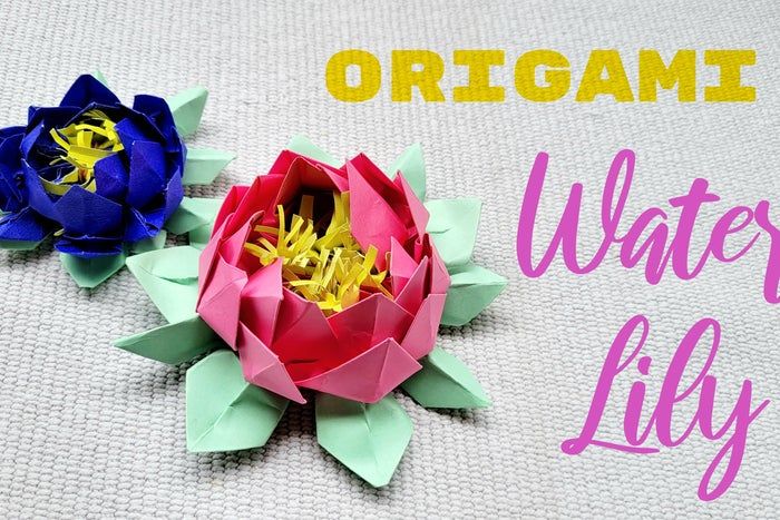 超简单折纸睡莲教程,零基础也能轻松学会-第1张图片-趣作屋 超简单折纸睡莲教程,零基础也能轻松学会-第1张图片-趣作屋