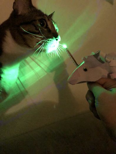 低成本手工制作会发光独角兽玩偶教程-第2张图片-趣作屋 低成本手工制作会发光独角兽玩偶教程-第2张图片-趣作屋