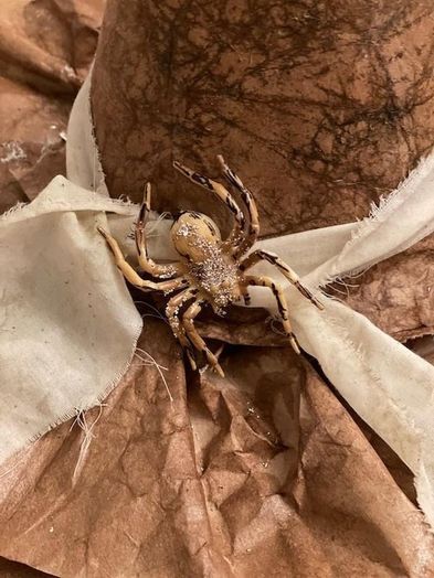 超简单！用纸袋手工制作可爱女巫帽教程-第13张图片-趣作屋