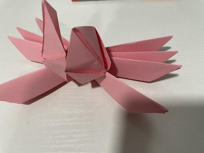 超简单折纸睡莲教程，零基础也能轻松学会-第11张图片-趣作屋