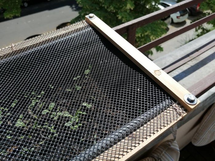 低成本自制蜗牛小屋教程，教孩子动手打造宠物蜗牛的家-第17张图片-趣作屋