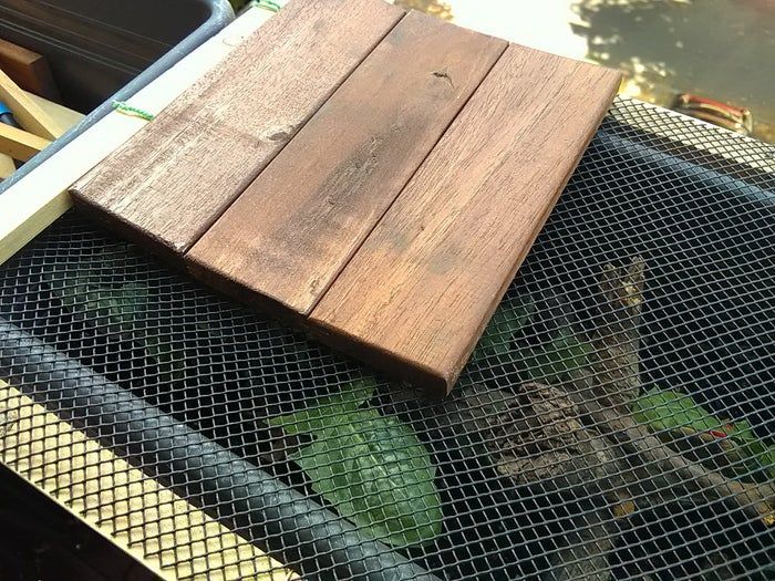 低成本自制蜗牛小屋教程，教孩子动手打造宠物蜗牛的家-第22张图片-趣作屋