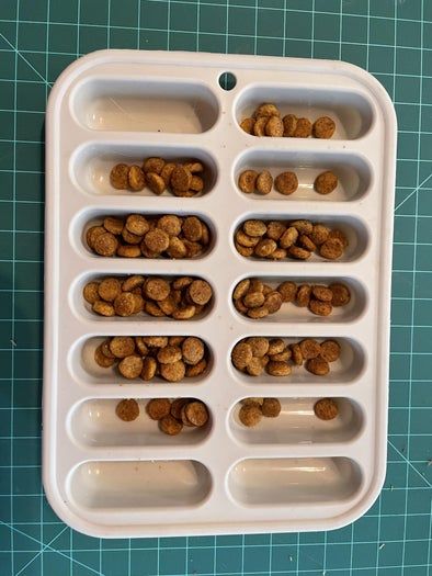 狗狗旅行安静玩具DIY，复古行李箱手工制作全攻略-第20张图片-趣作屋