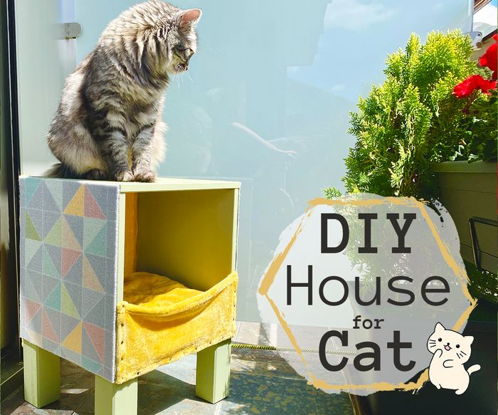 低成本手工打造现代猫咪小屋教程-第1张图片-趣作屋