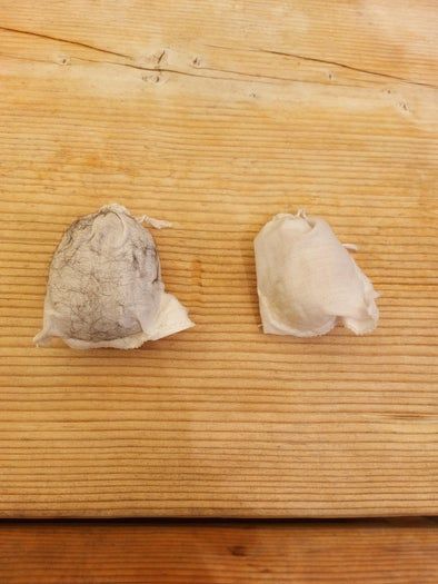 用狗狗掉毛手工制作可爱毛球玩具的省钱妙招-第6张图片-趣作屋