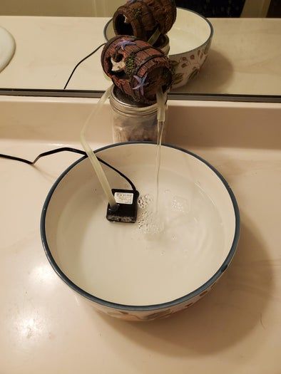 猫咪爱喝流动水？教你自制宠物饮水机-第12张图片-趣作屋