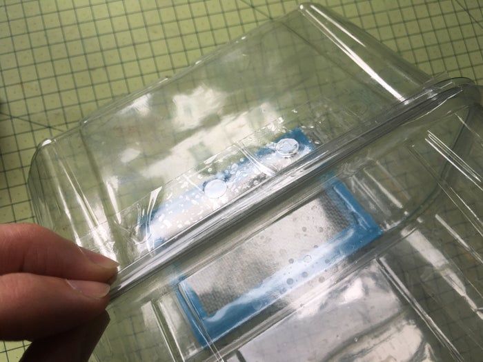 低成本养孩子的第一个宠物：毛毛虫变蝴蝶全记录-第19张图片-趣作屋