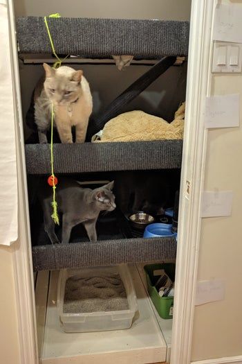 低成本DIY嵌入式猫爬架教程，省钱又实用的猫咪玩耍空间-第2张图片-趣作屋