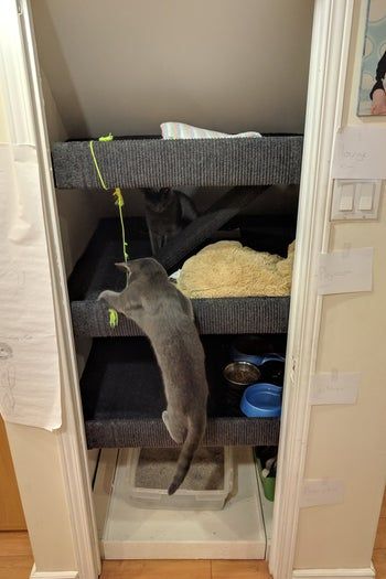 低成本DIY嵌入式猫爬架教程，省钱又实用的猫咪玩耍空间-第3张图片-趣作屋