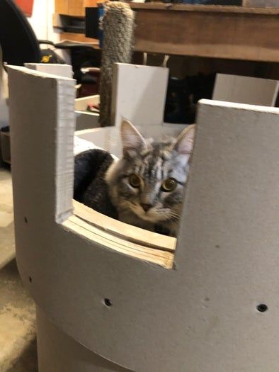 用废纸筒给猫咪搭建迷你城堡，低成本又暖心的宠物屋DIY-第1张图片-趣作屋
