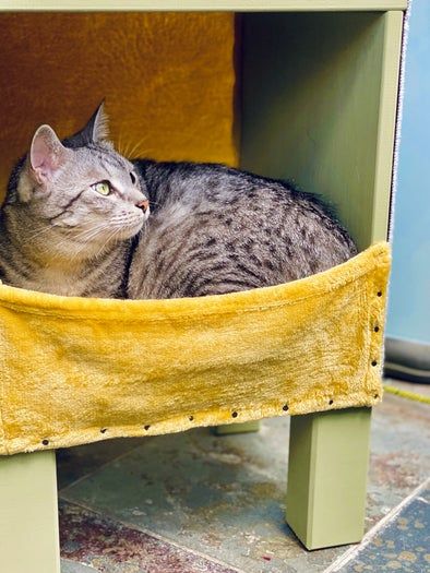 低成本手工打造现代猫咪小屋教程-第29张图片-趣作屋