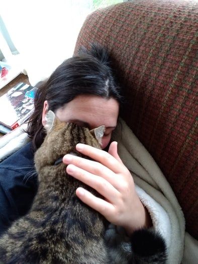 如何哄猫咪抱抱并一起入睡的14个贴心技巧-第12张图片-趣作屋