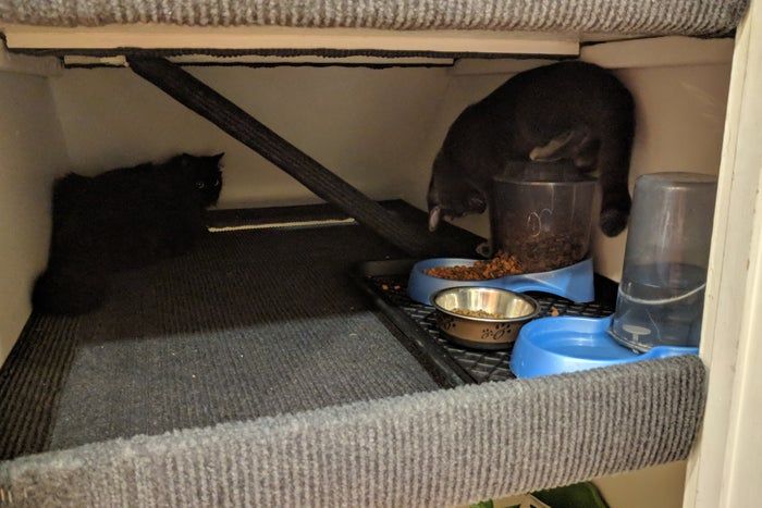 低成本DIY嵌入式猫爬架教程，省钱又实用的猫咪玩耍空间-第24张图片-趣作屋