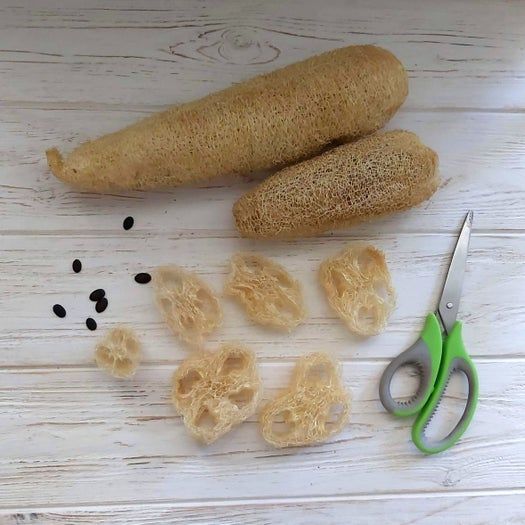 手工制作鹦鹉趣味玩具教程，简单又好玩-第4张图片-趣作屋