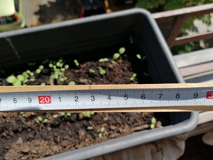 低成本自制蜗牛小屋教程，教孩子动手打造宠物蜗牛的家-第8张图片-趣作屋