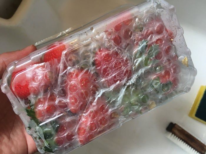 低成本养孩子的第一个宠物：毛毛虫变蝴蝶全记录-第9张图片-趣作屋
