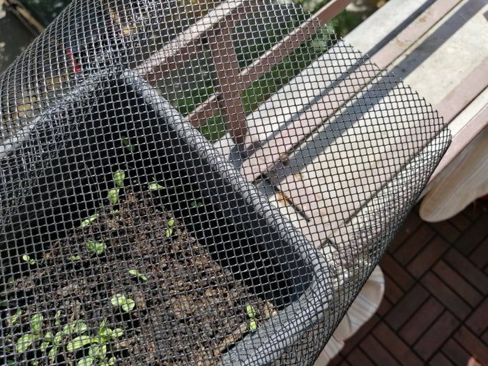 低成本自制蜗牛小屋教程，教孩子动手打造宠物蜗牛的家-第5张图片-趣作屋