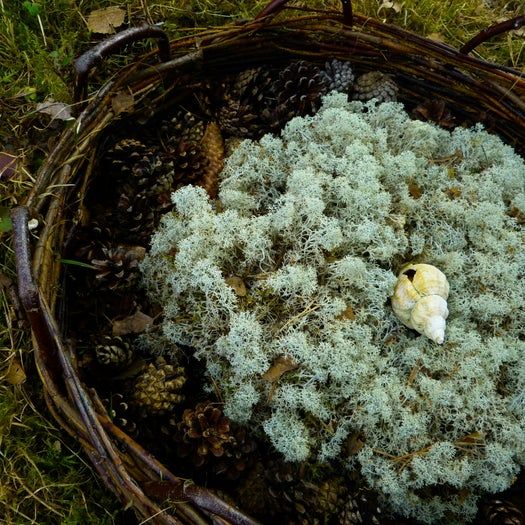 用柳条和爱心为宠物打造纪念之地：手工制作宠物纪念篮教程-第34张图片-趣作屋