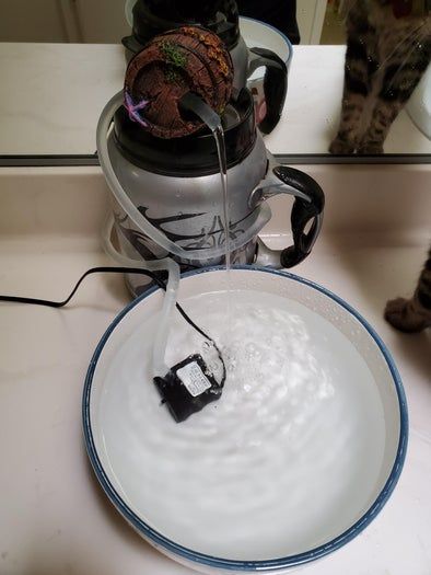 猫咪爱喝流动水？教你自制宠物饮水机-第13张图片-趣作屋