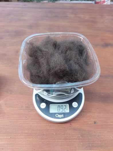 用狗狗掉毛手工制作可爱毛球玩具的省钱妙招-第4张图片-趣作屋