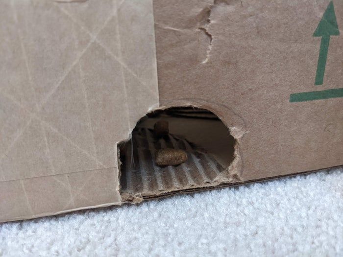 零成本自制猫咪益智玩具，轻松打发猫咪时间-第28张图片-趣作屋