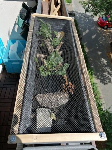 低成本自制蜗牛小屋教程，教孩子动手打造宠物蜗牛的家-第21张图片-趣作屋